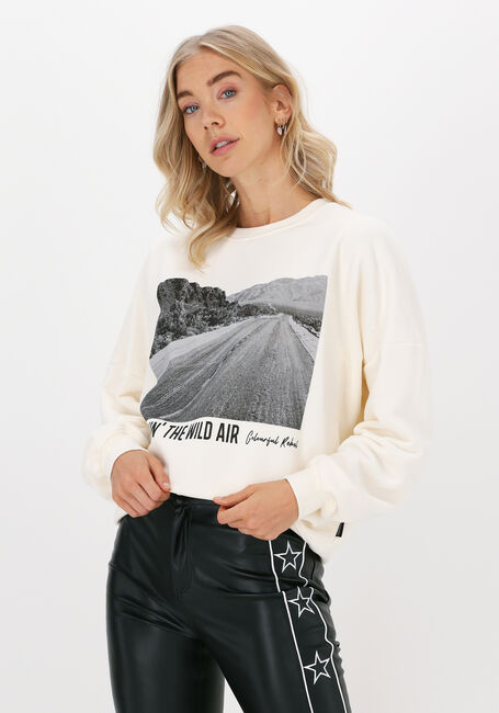 Gebroken wit COLOURFUL REBEL Sweater WILD AIR DROPPED SHOULDER SWEA - large