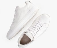 Witte PS POELMAN Lage sneakers NIGEL - medium