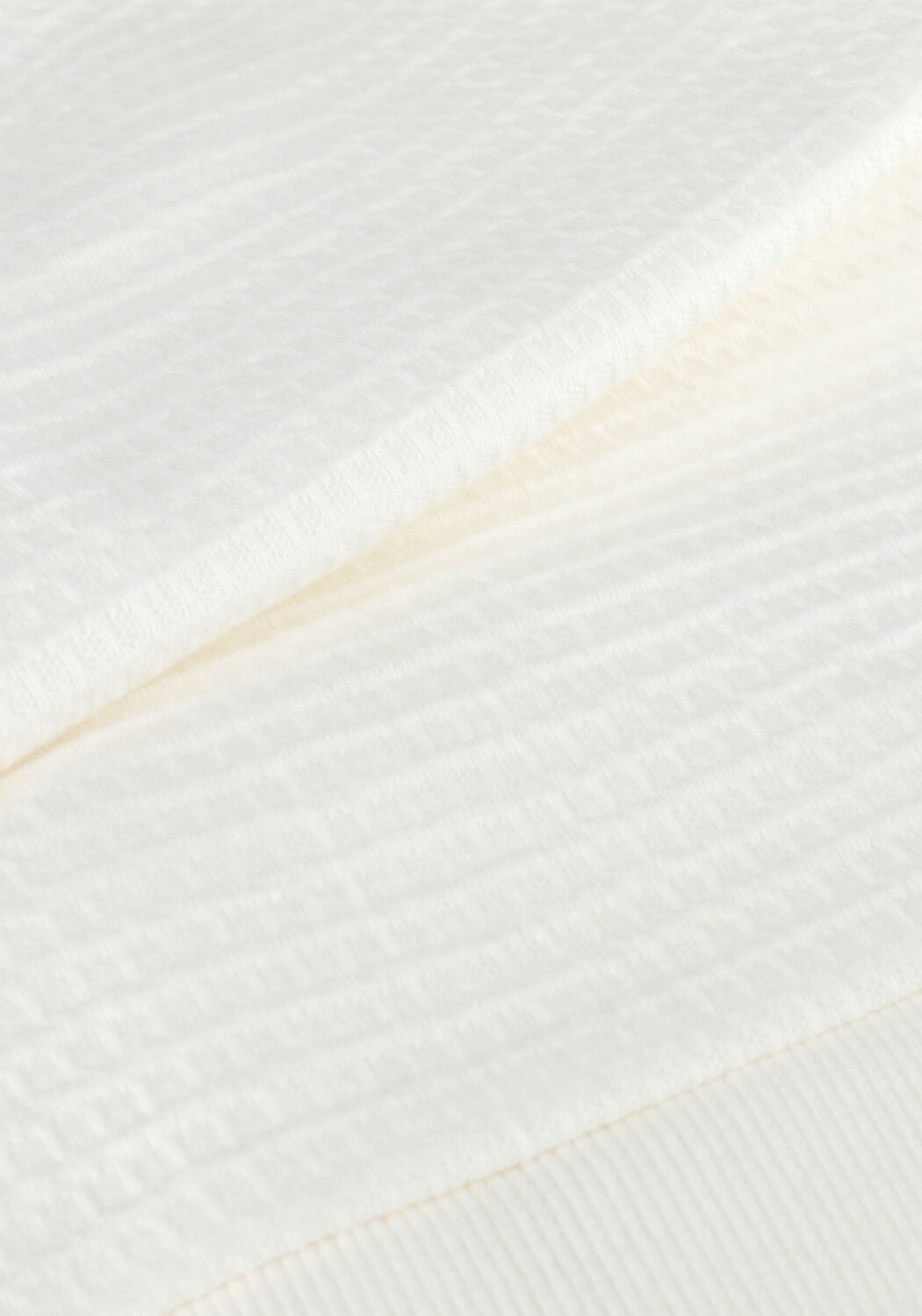 INDIAN BLUE JEANS Haut CROPPED SINGLET en blanc - large