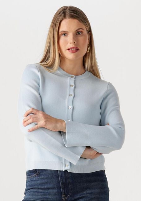 Blauwe Y.A.S. Vest YASEENA LS KNIT CARDIGAN - large