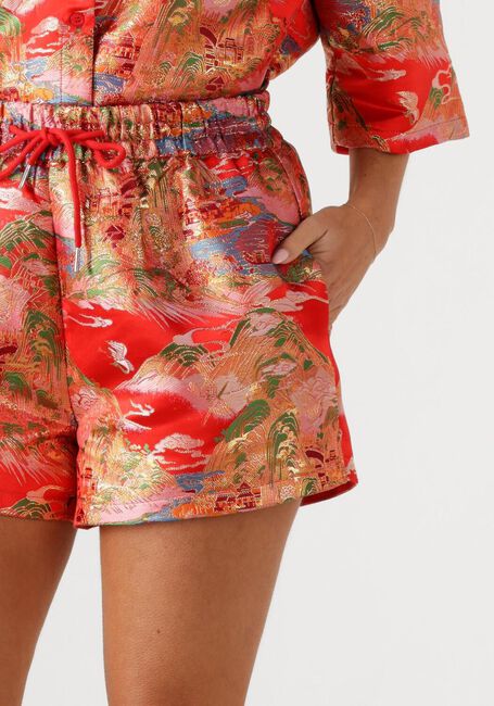 Roze STUDIO AMAYA Broeken/jumpsuits 261-ST31 - large