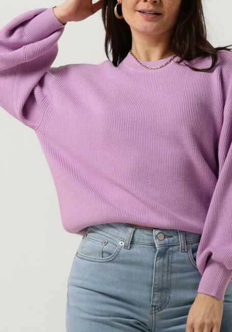 Paarse MSCH COPENHAGEN Trui MSCHACENTIA RACHELLE PULLOVER - large