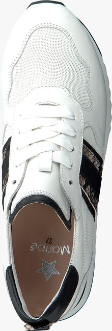 Witte MARIPE Lage sneakers 28650 - large
