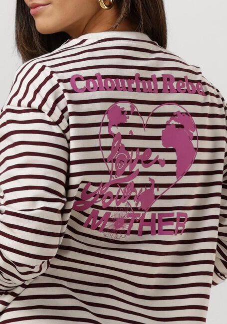 COLOURFUL REBEL Haut MOTHER EARTH STRIPE LONGSLEEVE TEE en rouge - large
