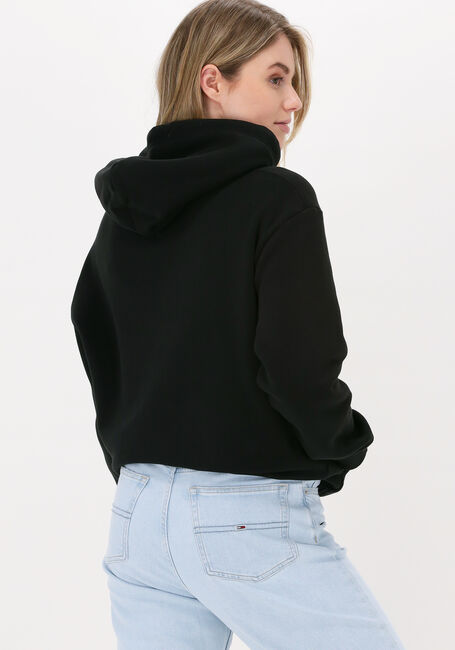 Zwarte TOMMY JEANS Sweater TJW RLXD LINEAR OVERLAY HOODIE - large