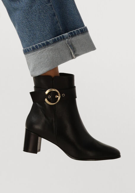 NOTRE-V 8552 NOTRE-V 8552 - large