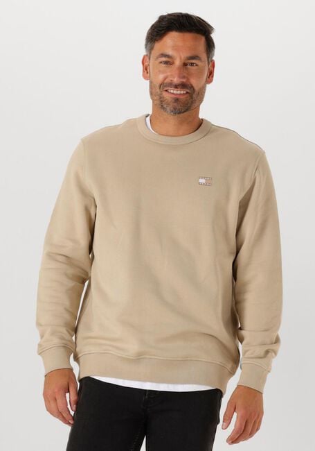 Beige TOMMY JEANS Trui TJM REG BADGE CREW EXT - large