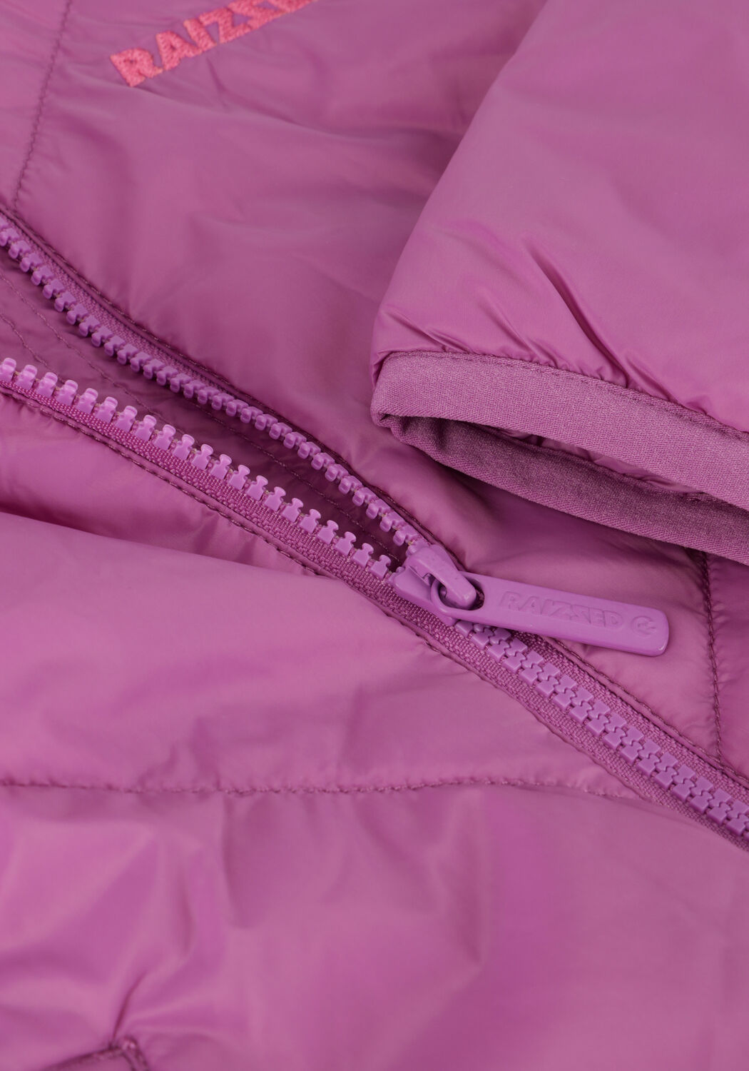 Paarse RAIZZED Jack LAYAN - large