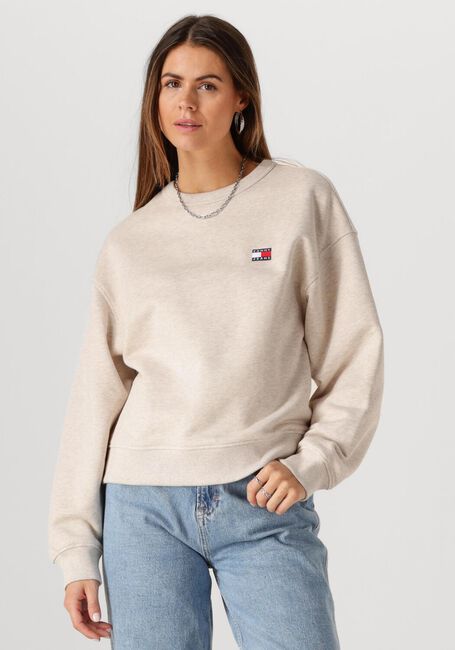 TOMMY JEANS Pull TJW BXY BADGE CREW en beige - large