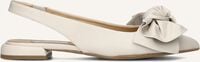 Witte NOTRE-V  43251 Witte NOTRE-V  43251 - medium