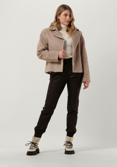 Camel IBANA Jack CALLETTA - large