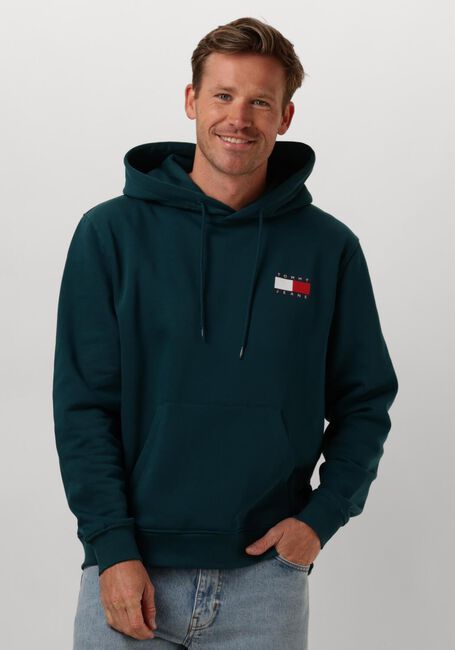 TOMMY JEANS TJM REG ESSENTIAL FLAG HOOD EXT Pulls & Gilets en vert - large