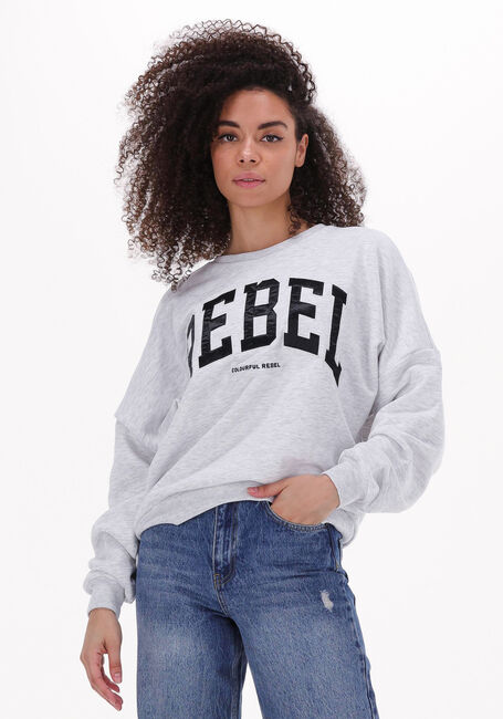 COLOURFUL REBEL Chandail REBEL PATCH DROPPED SHOULDER SWEAT Gris clair - large