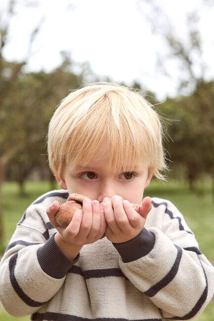 PLAY UP Chandail STRIPED JERSEY SWEATER B en beige - large