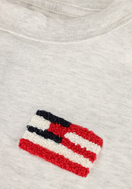 TOMMY HILFIGER T-shirt HILFIGER FLAG TERRY EMB TEE SS Gris clair - large