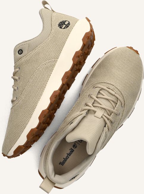 Beige TIMBERLAND Sneakers WINSOR PARK LOW Beige TIMBERLAND Sneakers WINSOR PARK LOW - large