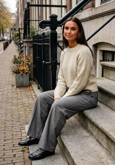 SELECTED WOMEN Pantalon large SLFWIDE-RITA LANO MW PANT en gris - large