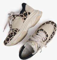 Bruine BRONX Lage sneakers BAISLEY 66455 - medium