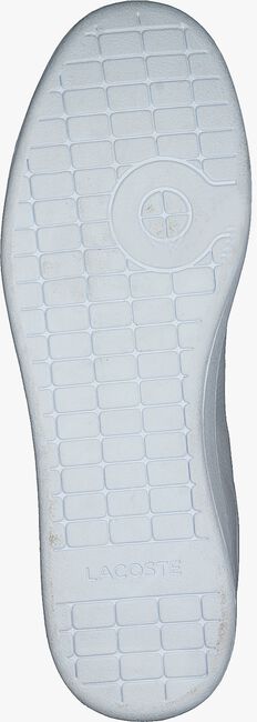 Witte LACOSTE Lage sneakers CARNABY EVO 120 - large