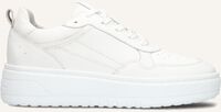 BLASZ ANEMONE-09 BLASZ ANEMONE-09 - medium