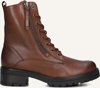 Camel GABOR  785.1 - medium