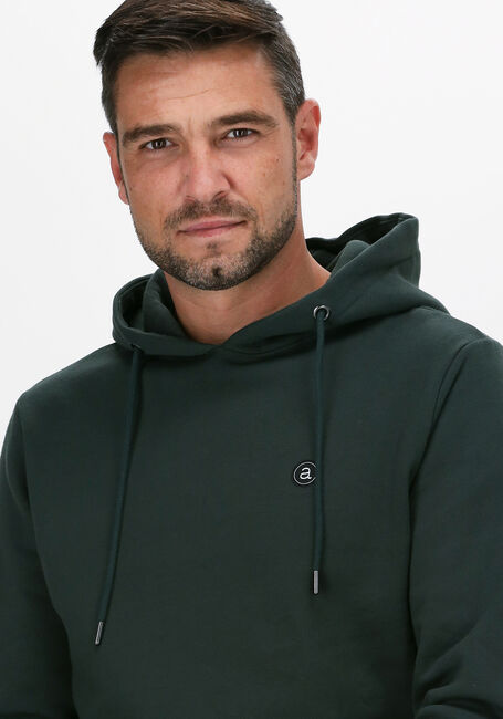 Donkergroene ANERKJENDT Sweater AKNIGEL ORGANIC HOODIE - large