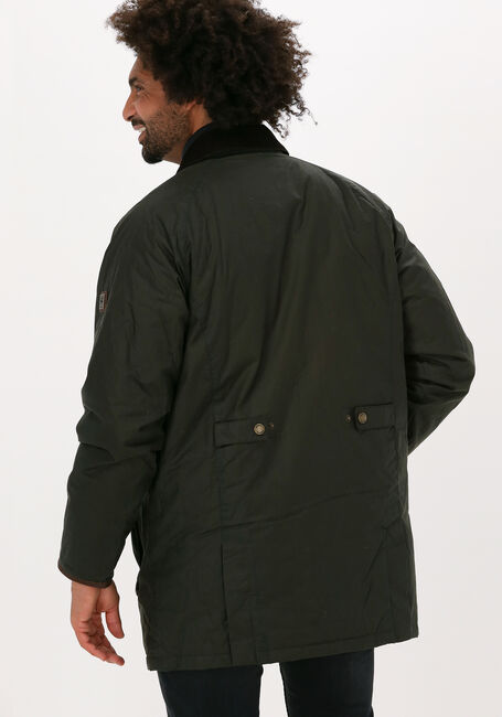 Bruine DUBARRY Regenjas BRUNSWICK - large