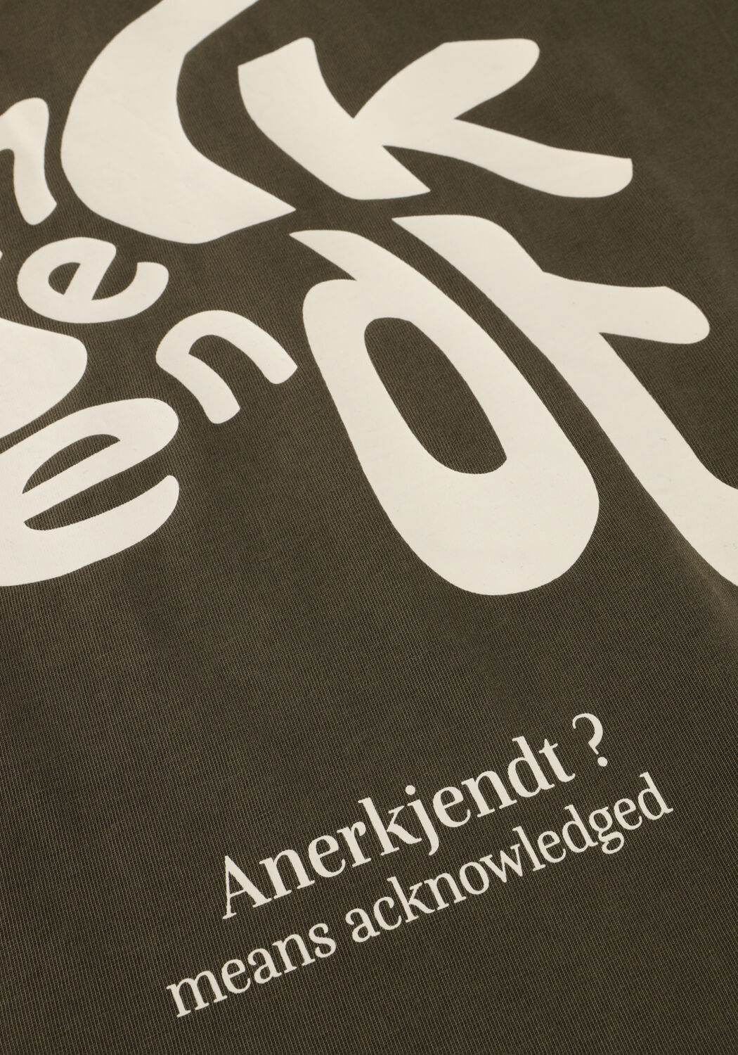 Donkergroene ANERKJENDT T-shirt AKVILLADS ANERKJENDT? PRINT S/S TEE - large