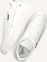 Witte ANTONY MORATO Sneakers MMFW01671 Witte ANTONY MORATO Sneakers MMFW01671 - medium