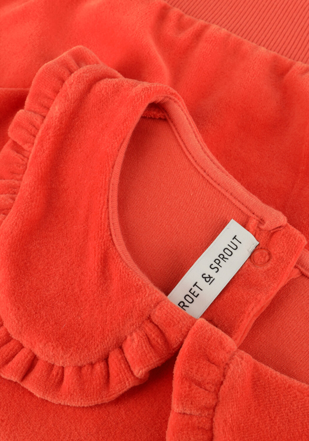 Koraal Sproet & Sprout Sweater SWEATSHIRT VELVET RUFFLE COLLAR - large