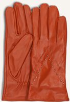 Oranje NOTRE-V Handschoenen ZAWBO-326 - medium