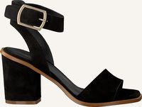 NOTRE-V Sandales B4160 en noir  NOTRE-V Sandales B4160 en noir  - medium