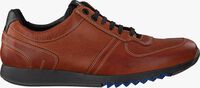 Cognac FLORIS VAN BOMMEL Sneakers 16179 - medium