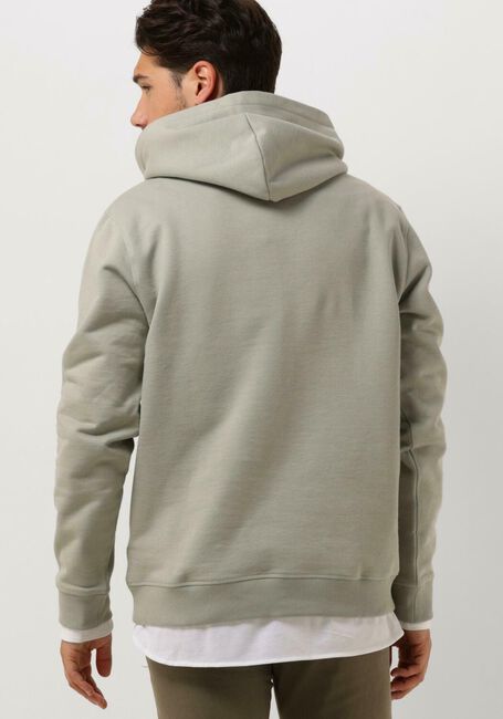 Groene TOMMY JEANS Trui TJM REG BOLD CLASSICS HOODIE EXT - large