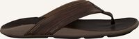 Bruine OLUKAI Teenslippers IKOI - medium