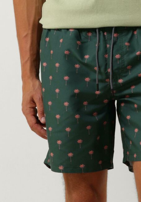 SHIWI Shorts de bain MEN SWIMSHORT PALM en vert - large