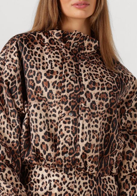 Bruine STUDIO AMAYA Jack FELINE - large