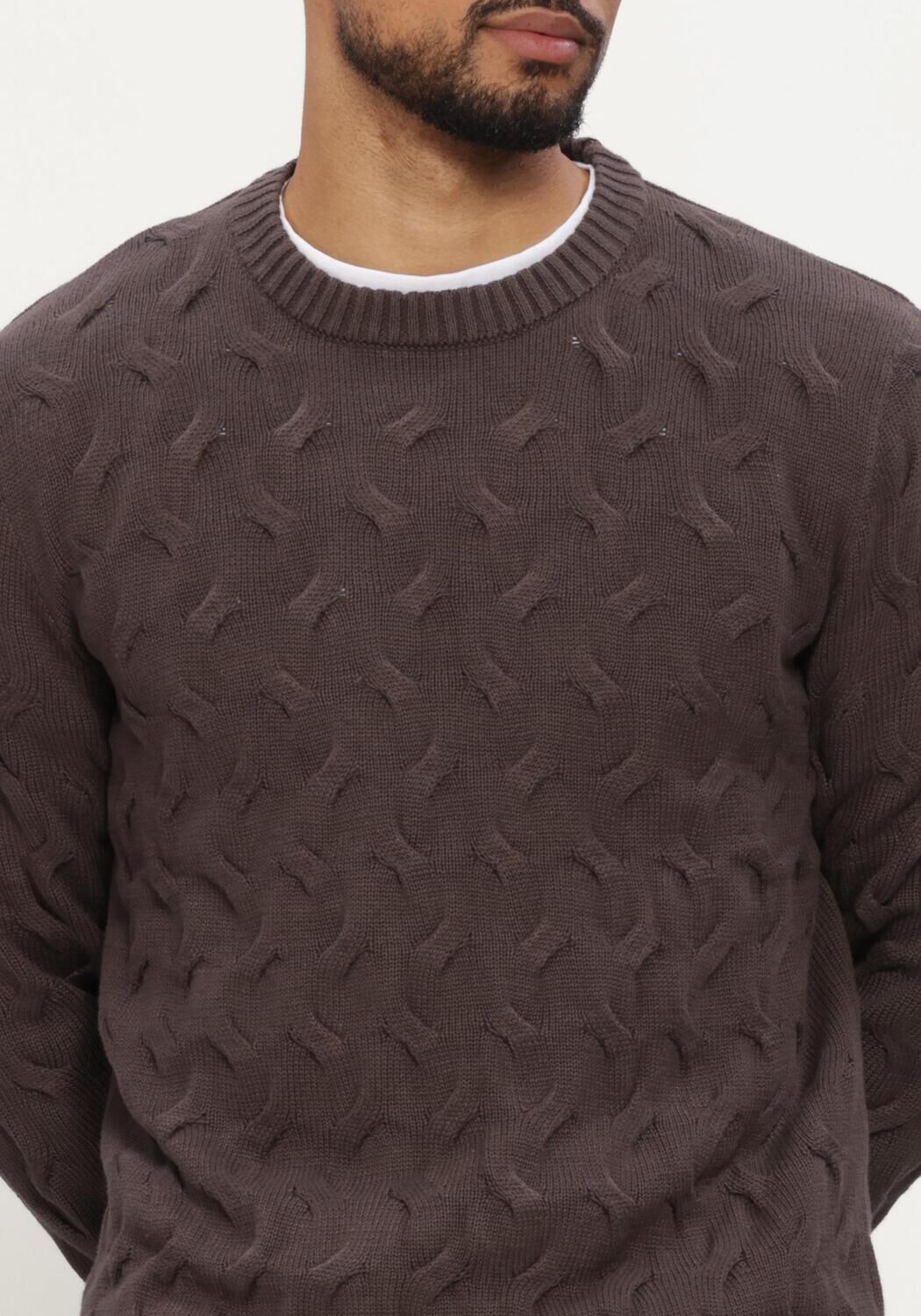 Bruine SELECTED MEN Trui SLMCARLOS LS CABLE CREW NECK - large