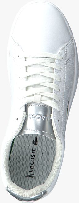 Witte LACOSTE Lage sneakers CARNABY EVO 220 - large