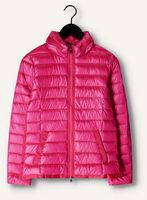 Roze BEAUMONT Gewatteerde jas DOWN RIBTAPE JACKET Roze BEAUMONT Gewatteerde jas DOWN RIBTAPE JACKET - medium