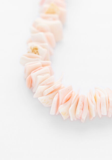 BONNIE STUDIOS Colliers PINK SHELL NECKLACE en rose - large