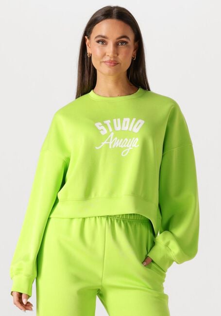 Groene STUDIO AMAYA Truien/vesten 261-ST6 - large