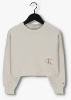 Beige CALVIN KLEIN Sweater MONOGRAM OFF PLACED SWEATSHIRT - medium