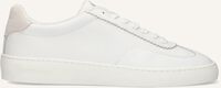 Witte SCOTCH & SODA Sneakers PLAKKA - medium
