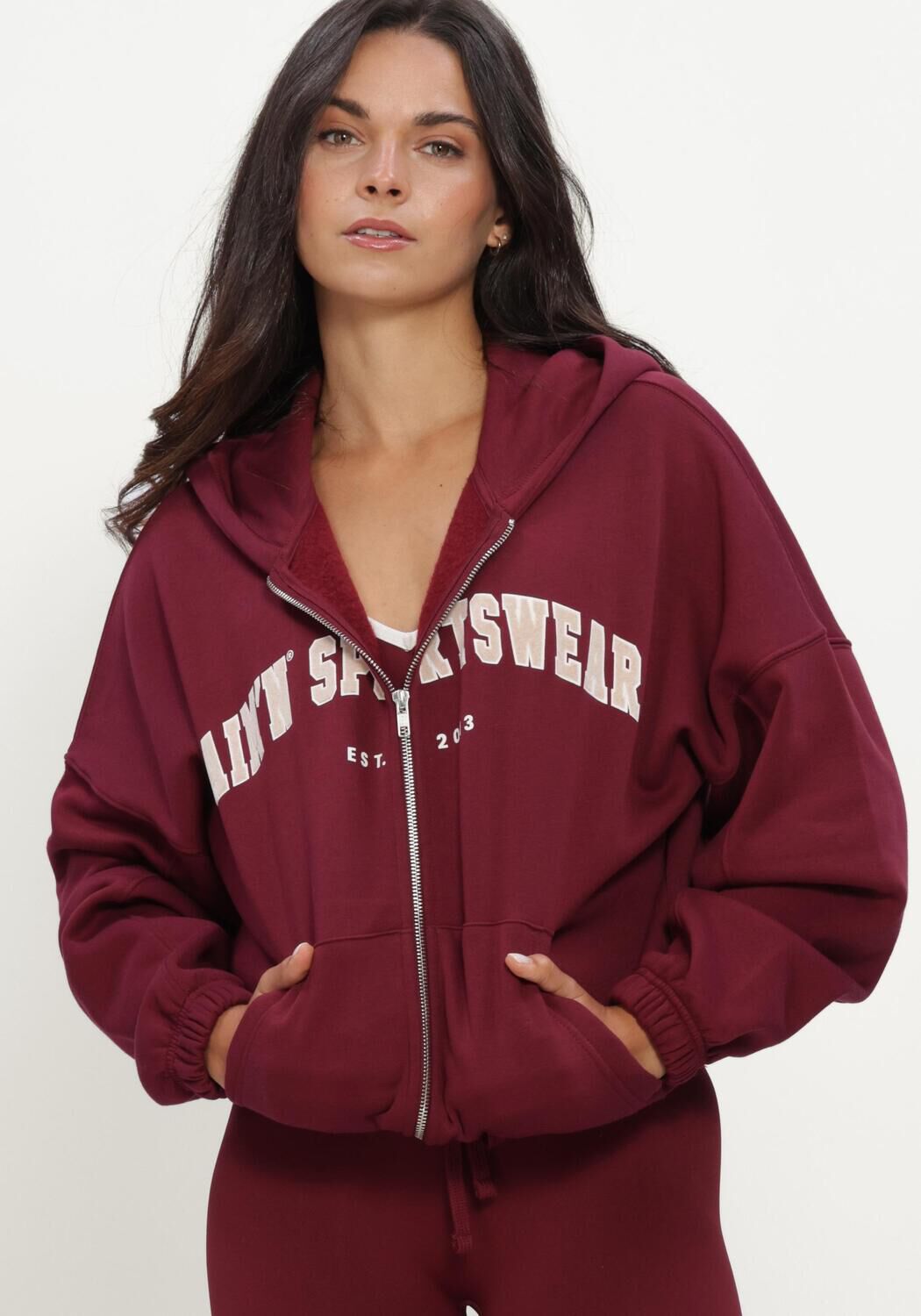 AIM'N Chandail VARSITY SWEAT ZIP HOOD Bordeaux - large