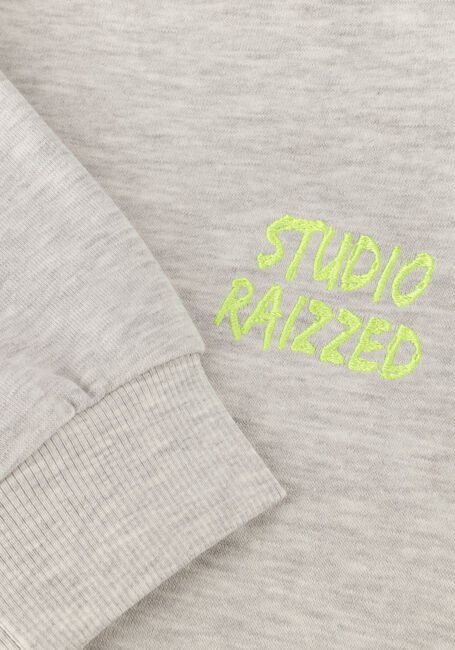 Lichtgrijze RAIZZED Sweater CELA Lichtgrijze RAIZZED Sweater CELA - large