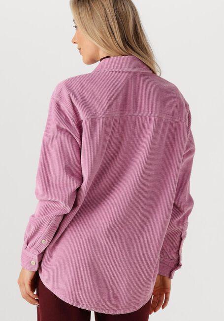 Roze AMERICAN VINTAGE  PADOW - large