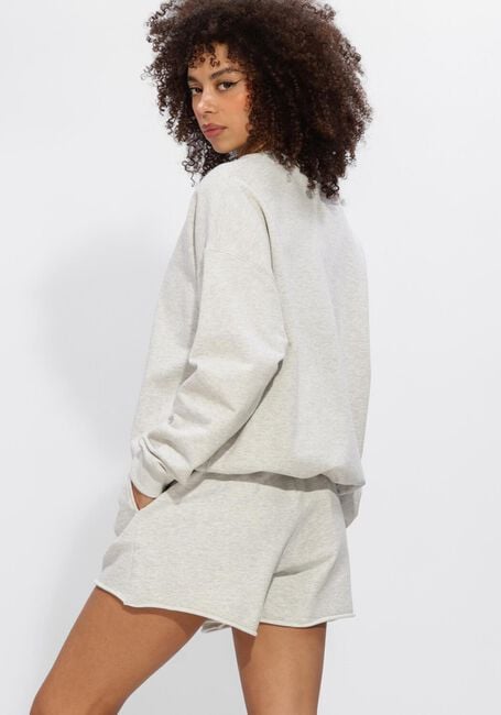 ELEH SS260187 Pulls & Gilets Gris clair - large