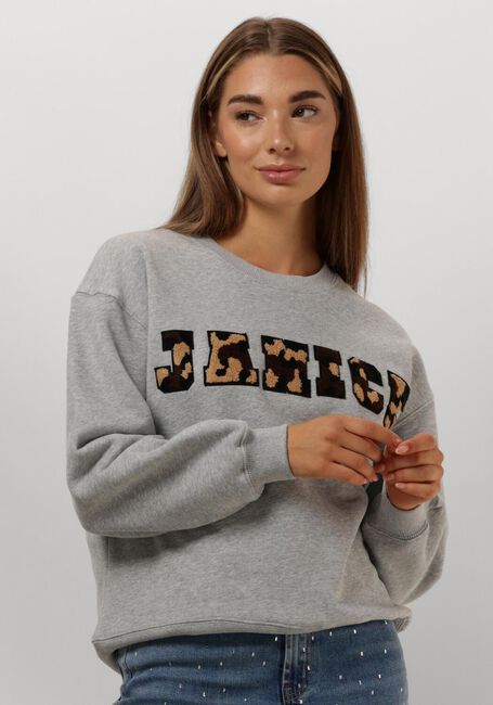 Grijze JANICE Sweater ANDY - large