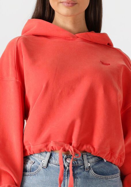 TOMMY JEANS Chandail TJW CRP GMD SCRIPT HOODIE en rouge - large
